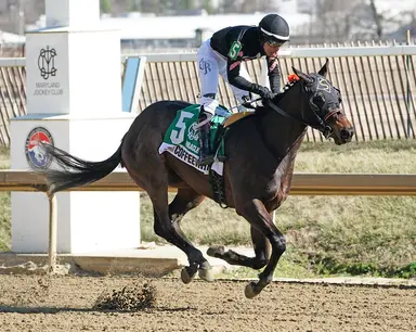 Coffeewithchris takes his breeder, NTRA's Rooney, into a classic