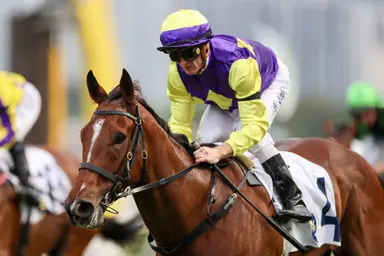 David Eustace chases National Day Cup with course specialist Colourful King