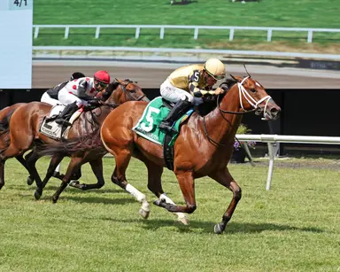 Governor Sam shows solid form in Get Serious