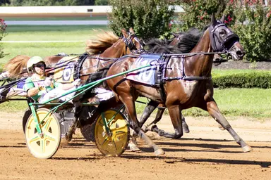 Red Mile:  Madam Cheval, Sea Bistro Hanover hit paydirt in Kentucky Championship Series