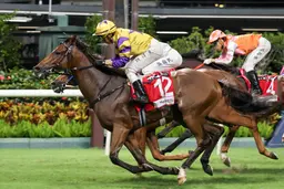 Le Zonda continues impressive winning streak at Happy Valley