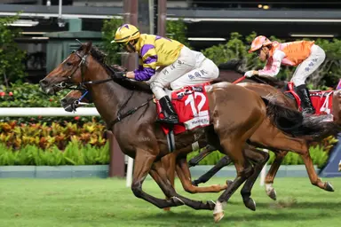 Le Zonda continues impressive winning streak at Happy Valley