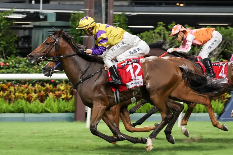 Le Zonda/Happy Valley