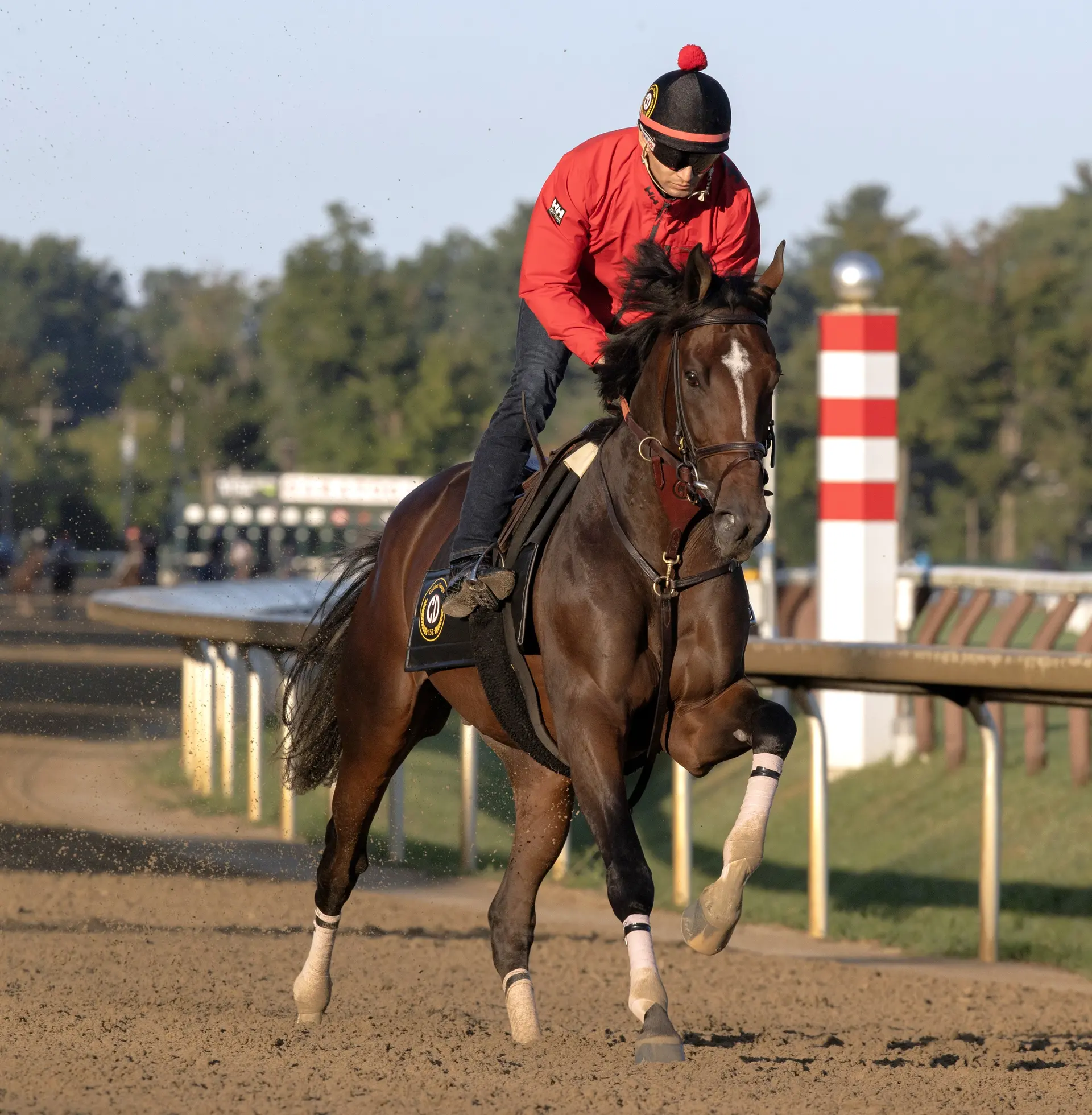 Travers: Golden Tempo must overcome 12-week layoff against star-studded cast