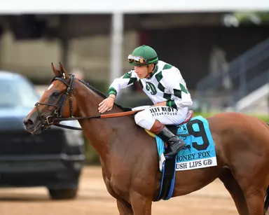 Lush Lips to return in Ellis Park Turf