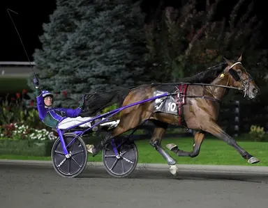 Woodbine Mohawk Park:  Wrong Sounds Right equals world record in Mohawk Million