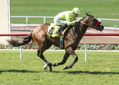 Won for Lou ends layoff for new barn in Bear's Den