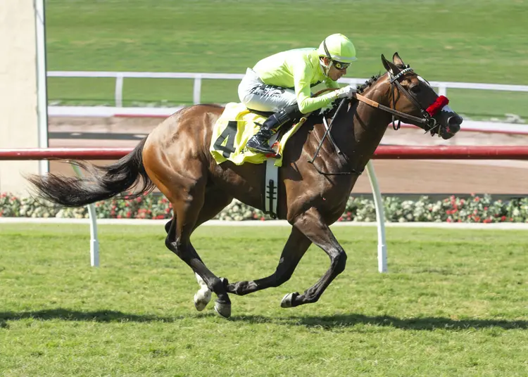 Won For Lou01.7.27.25.BA