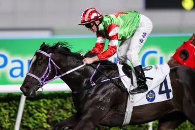 Orman confident Top Dragon can handle dirt debut at Sha Tin 