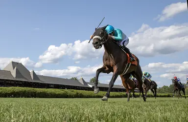 Cosmic Candy Girl upsets Suzie O'Cain in front-running fashion
