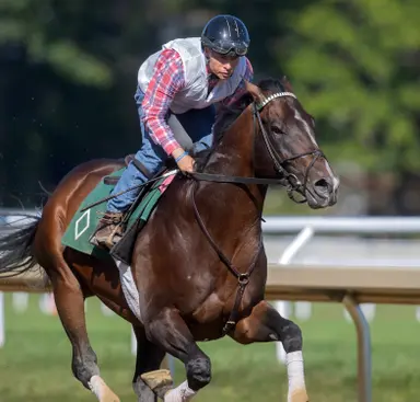 Breeders' Cup Classic futures pool opens Friday, includes nine from Travers