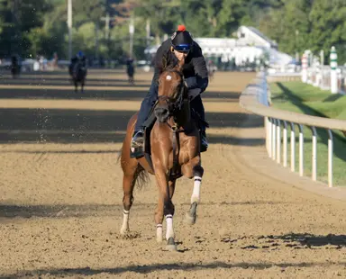 Keeneland November sale caters to all levels of the market