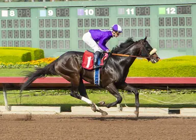 Coast to Coast Pick 5 play for Sunday, March 3, 2024