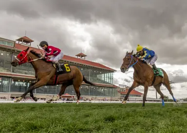More robust turf racing, field sizes led to surge in betting at Fair Grounds meet