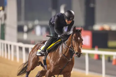 Japan: Do Deuce runs away with Horse of the Year voting