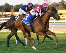 Americathegreat lands first stakes triumph in Sands Point