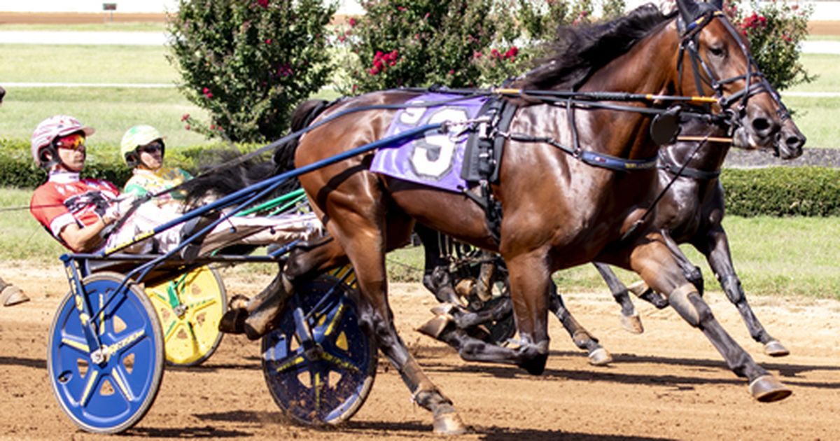 Red Mile:  Miss Jum Jabber, American Power don't disappoint in Kentucky Championship Series