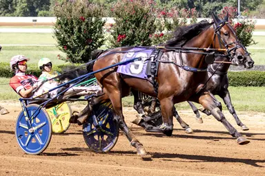 Red Mile:  Miss Jum Jabber, American Power don't disappoint in Kentucky Championship Series