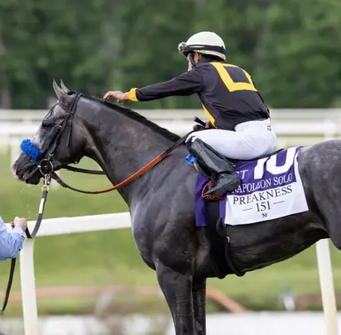 Napoleon Solo works by himself for Haskell