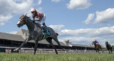 Side Quest steps up in Bolton Landing after emphatic maiden win