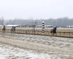 Red Zone Runner romps in City of Brotherly Love, might point to Wood Memorial