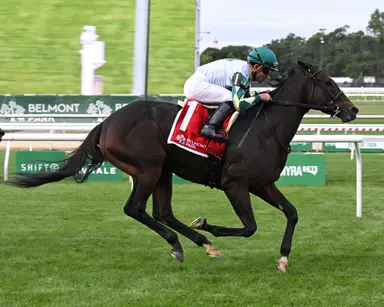 Love Cervere stays perfect at six furlongs in Floral Park