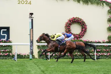 Rosallion leads strong 3-year-old contingent in Sussex Mile