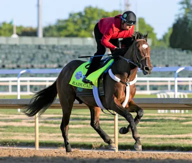 Belmont Stakes: Colebrook will keep Raise Cain in Kentucky for Matt Winn Stakes