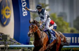 Group 3 Celebration Cup beckons for Invincible Ibis and Helios Express
