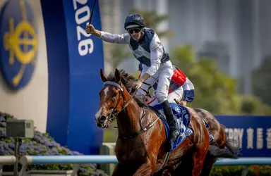 Group 3 Celebration Cup beckons for Invincible Ibis and Helios Express