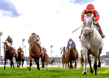 Shining Star leads Mardi Gras parade