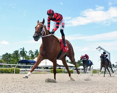 Orseno still optimistic as Rezasrolex goes in Pay Any Price