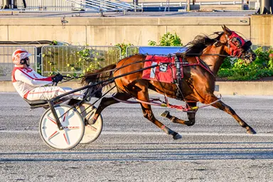 Harrington:  Salty Beaches sweet in Delaware Standardbred Breeders Fund
