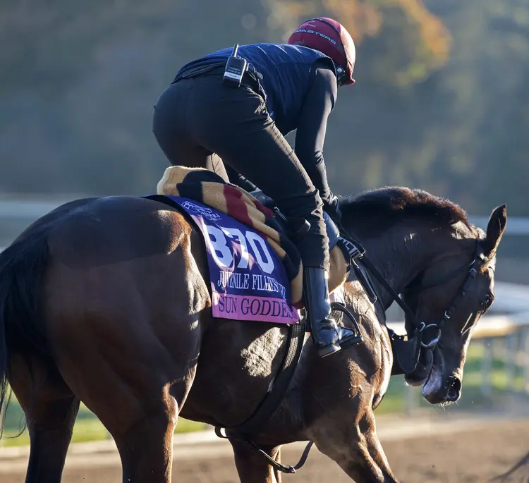 Breeders' Cup Juvenile Fillies Turf: Sun Goddess heavily favored but no ...
