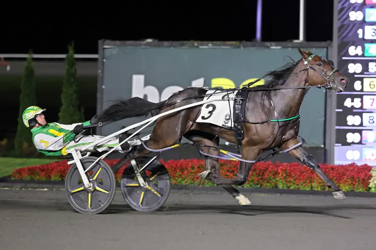 Redland Rocket Man 10-10-26