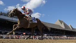 Breeders' Cup Distaff: Field thins as Nitrogen, Fully Subscribed emerge as standouts