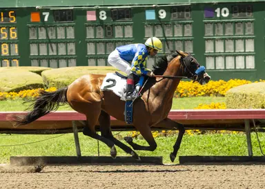 Hughes impresses winning first start for Baffert