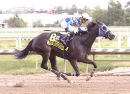 Slewperstitus uses Weather Vane Stakes to shed bridesmaid label