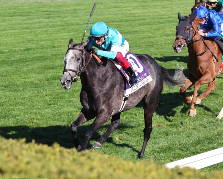 Beaute Cachee wins Jenny Wiley at KEE April 13 2024