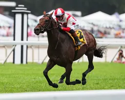Program Trading continues winning form at Monmouth, taking the United Nations