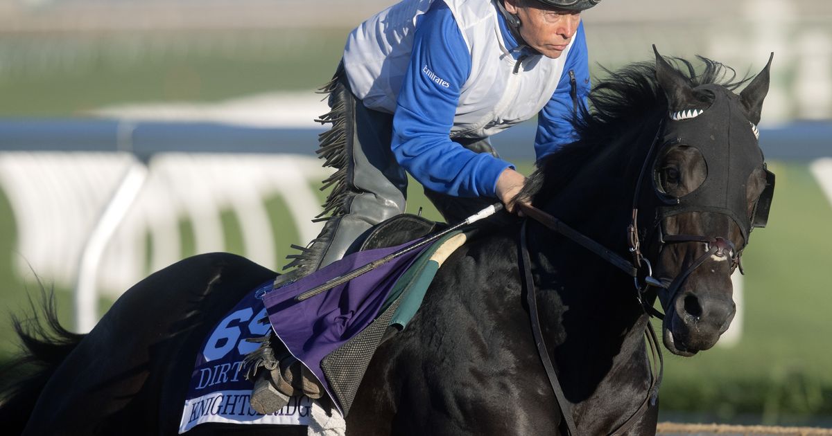 Breeders' Cup: Knightsbridge works as everyone awaits a decision