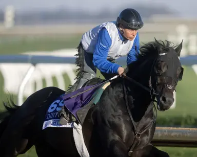 Breeders' Cup: Knightsbridge works as everyone awaits a decision