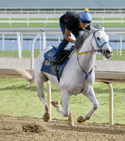 Joseph confident vets will let White Abarrio run in Stephen Foster