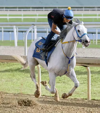 Joseph confident vets will let White Abarrio run in Stephen Foster