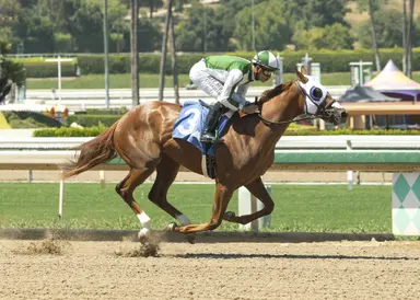 Jolene Fury to use her speed again in CTBA Stakes