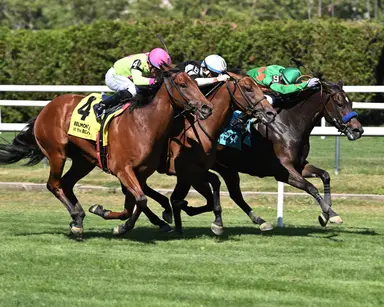 Nessuna Pagina survives foul claims, takes Spectacular Bid by nose