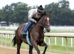 Faithful Departed seeks better trip in Saratoga Oaks