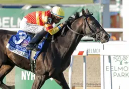 Good to Be King catches Regent's Park late in Futurity Stakes