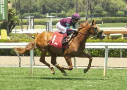 Shadow Nation good to go in Del Mar Juvenile Turf despite missing works