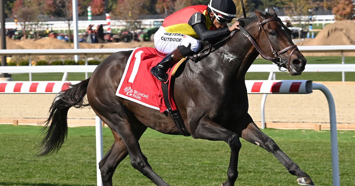 Sounds Like a Plan breezes to easy Mohawk victory